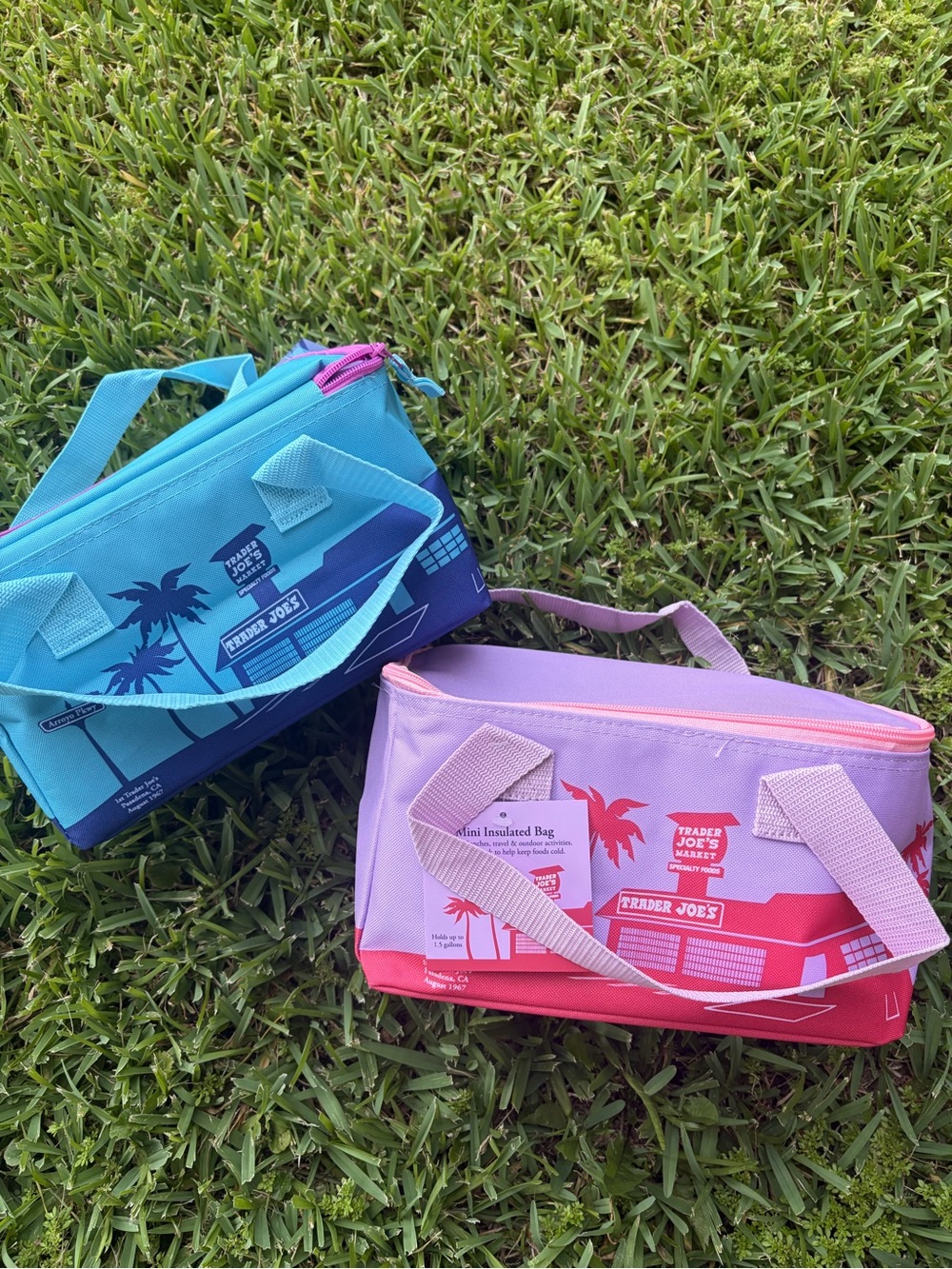 2x Trader Joe's Mini Insulated Bags - blue and purple  ( 2 per order )